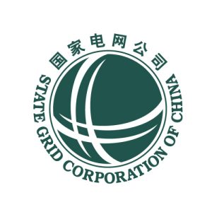 State Grid Case Study