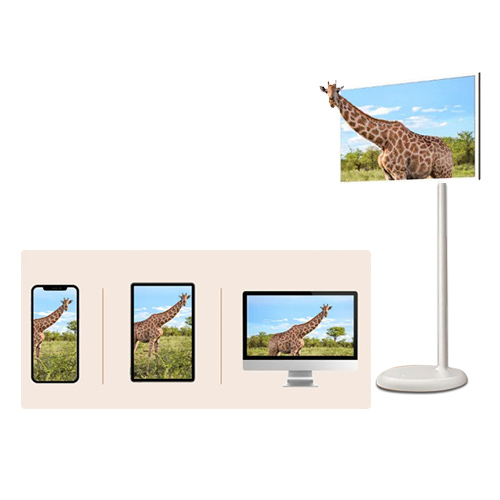 Wireless Projection Function