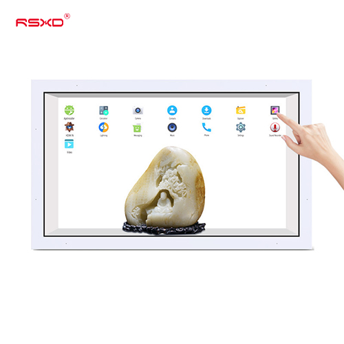 TRANSPARENT LCD DISPLAY